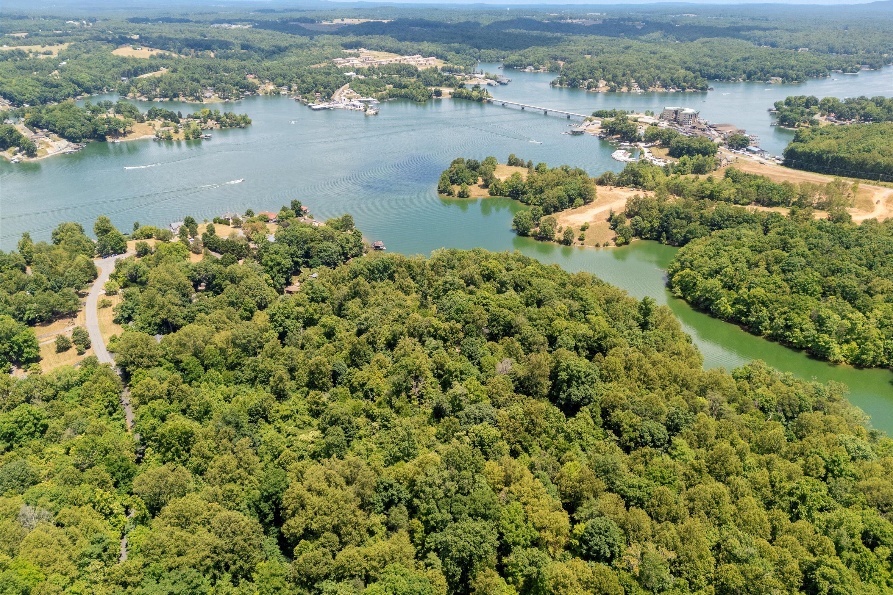 Montilago Dr, Moneta, VA 24121