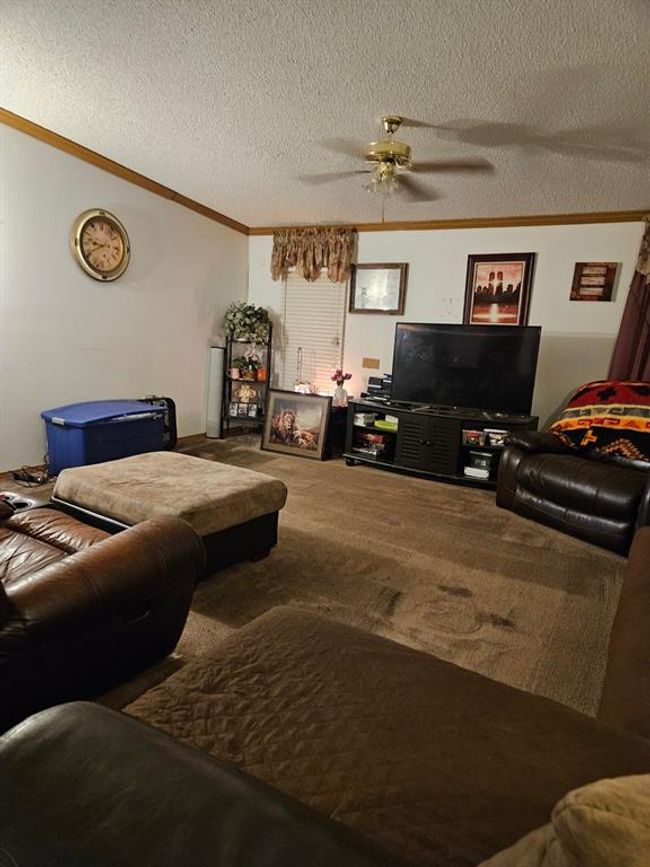 Living room featuring carpet, a textured ceiling, and ceiling fan | Image 27