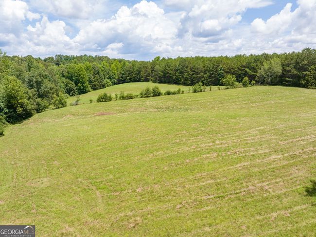 177 E Silver Shoals Rd, House other with 3 bedrooms, 2 bathrooms and null parking in Toccoa GA | Image 51