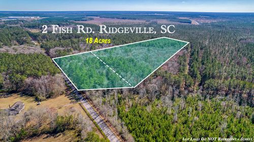 10 Fish Road, Ridgeville, SC, 29472 | Card Image