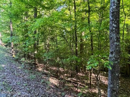 329-328, 329 Omega Dr, Spring City, TN, 37381 | Card Image
