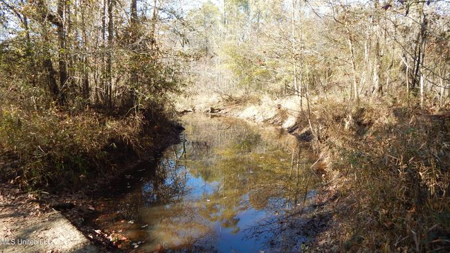 Creek | Image 23