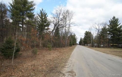 V/L S Brodie Road, Curtis Township, MI, 48761 | Card Image