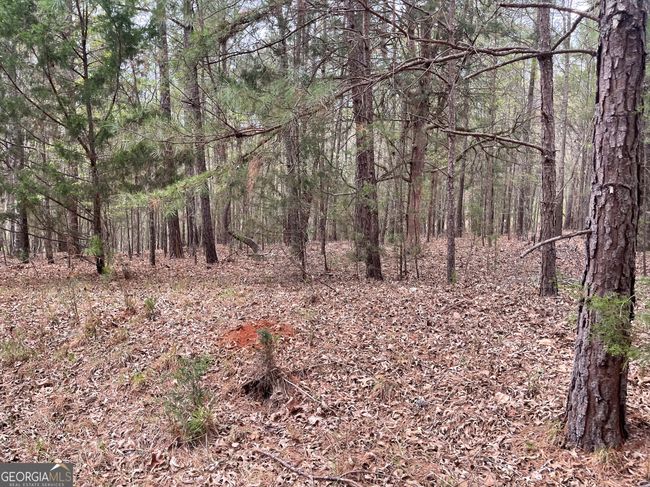 0 Green Oak Cir, Home with 0 bedrooms, 0 bathrooms and null parking in Thomaston GA | Image 38