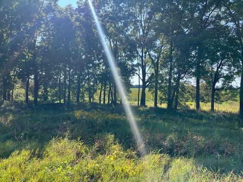 18.31 Acres County M Road, ROSENDALE, WI, 54964 | Card Image