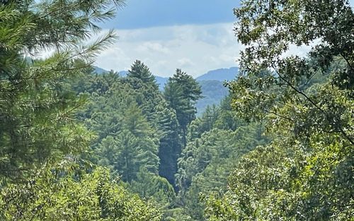LT 71 Fires Creek Rd, Hayesville, NC, 28904-7526 | Card Image