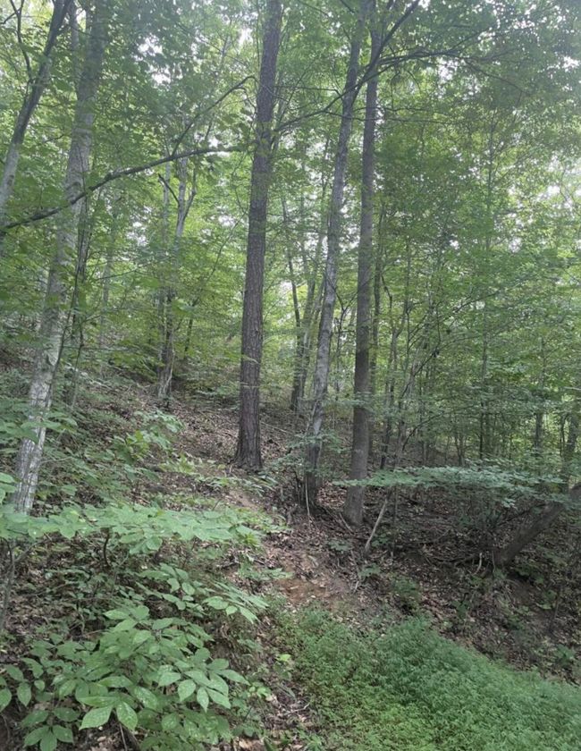45 Kinkaid Rd, Home with 0 bedrooms, 0 bathrooms and null parking in Manchester KY | Image 7