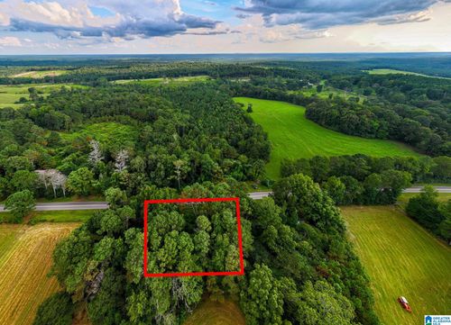 0-0 County Road 32, Double Springs, AL, 35553 | Card Image