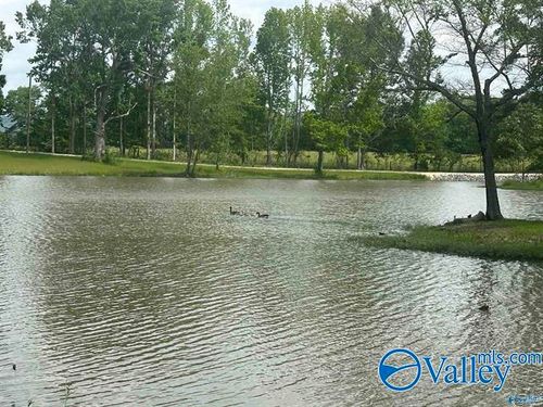 lot-6and7-Lot 6 & 7 County Road 115, Cedar Bluff, AL, 35959 | Card Image