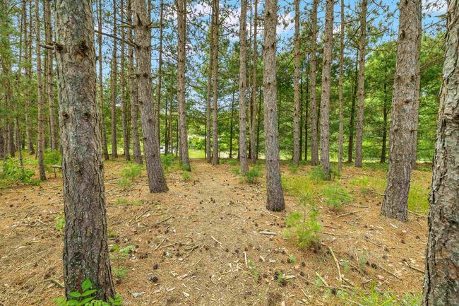 1022 Cortland Ln, House other with 4 bedrooms, 3 bathrooms and null parking in Stevens Point WI | Image 51