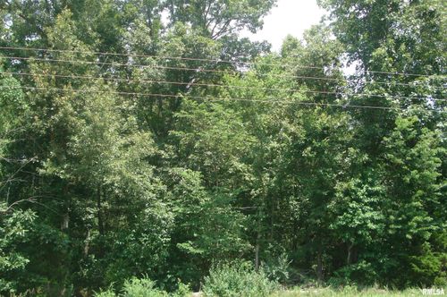 000 Corinth Road, Pittsburg, IL, 62974 | Card Image