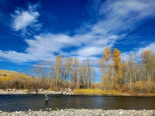 64 Black Elk Court, Bozeman, MT, 59718 | Card Image