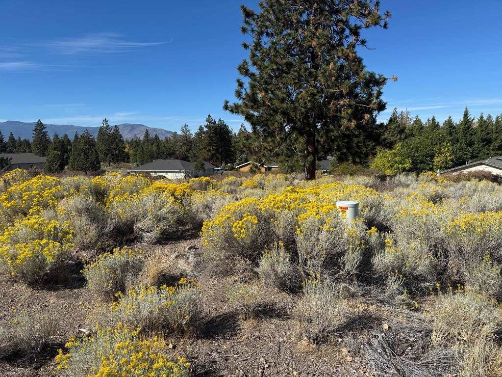 Land in Weed 5