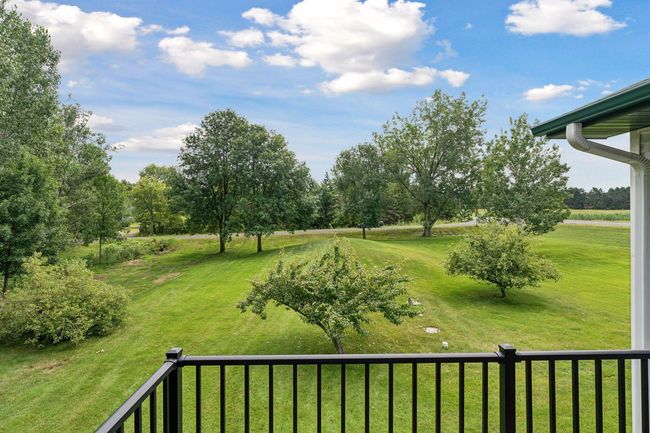 Gorgeous yard with apple, cherry and plum trees. | Image 24