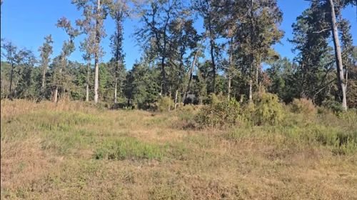 Tract C-3 Gaff Rd, Magnolia, TX, 77355 | Card Image