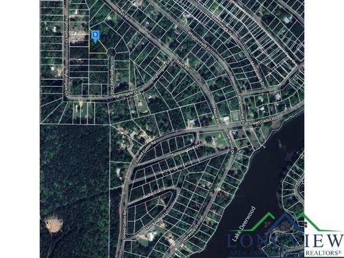 74 Nightingale Dr, Harleton, TX, 75651 | Card Image