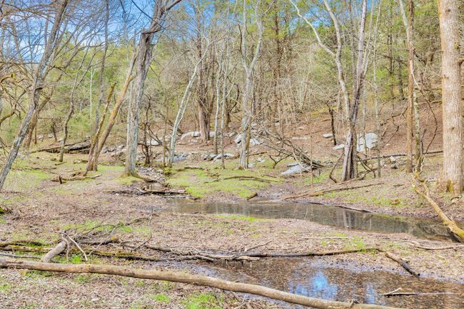 0 Fishing Ford Rd, Home with 0 bedrooms, 0 bathrooms and null parking in Belfast TN | Image 10