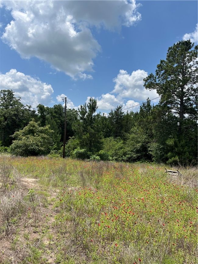 8647 County Road 342, Home with 0 bedrooms, 0 bathrooms and null parking in Milano TX | Image 7