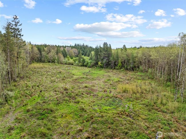 4949 Jackson Hwy, Home with 0 bedrooms, 0 bathrooms and null parking in Toledo WA | Image 11
