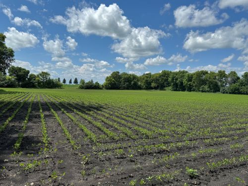 4 4th St, Echo, MN, 56237 | Card Image