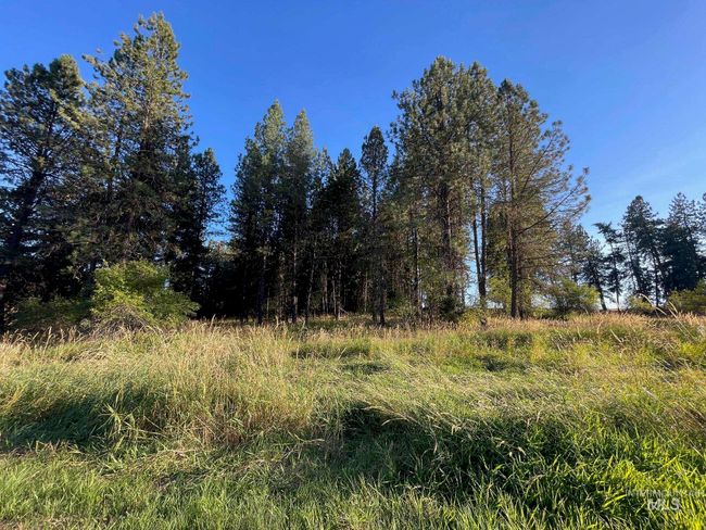 181 Harris Ridge Loop, House other with 3 bedrooms, 3 bathrooms and 2 parking in Kooskia ID | Image 41