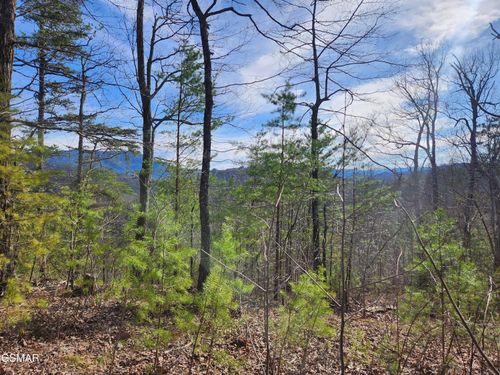 Lot 46 Feld Wynde Close Way, Sevierville, TN, 37862-8040 | Card Image