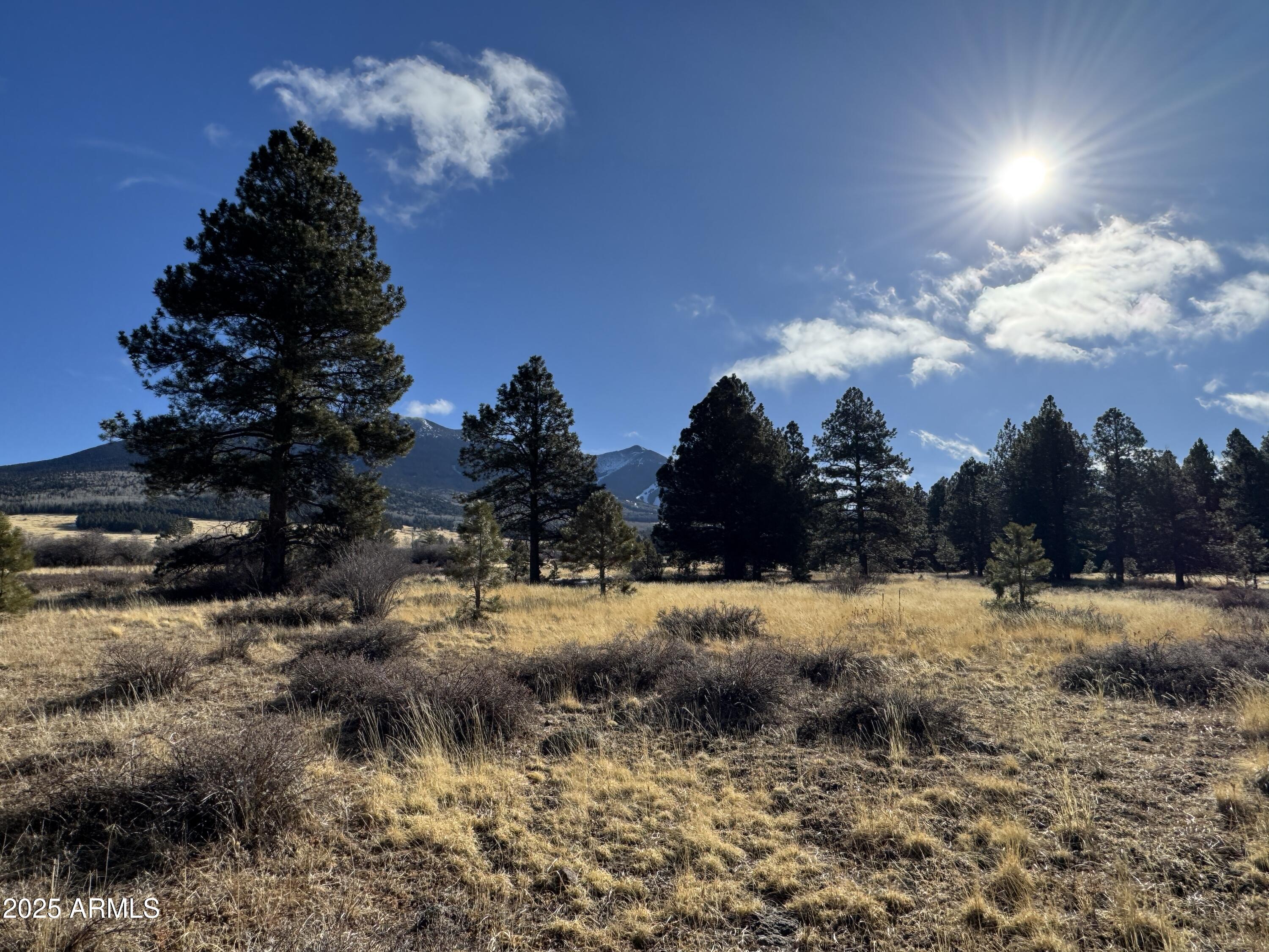 Land in Flagstaff 3