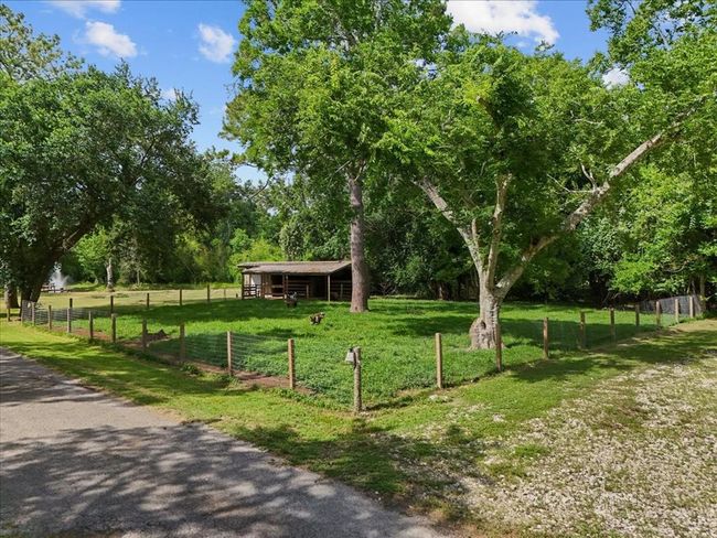 Shaded, fenced pasture with mature trees and a livestock barn—perfect for goats or hobby farm animals. | Image 45