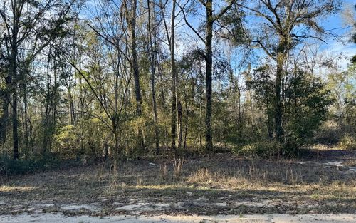 LOT21 Nw Evergreen Oak Pl, JENNINGS, FL, 32053 | Card Image