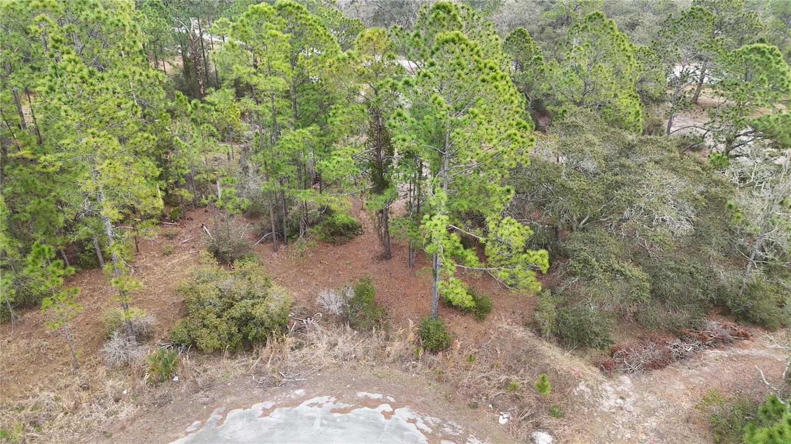 Land in KISSIMMEE 4
