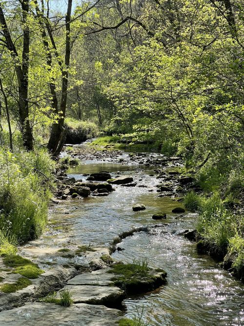 0 Massey Hollow Ln, Dixon Springs, TN, 37057 | Card Image