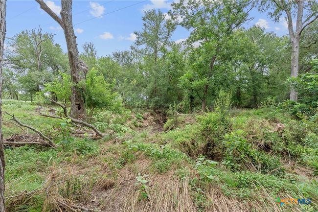 3597 Baker Rd, Home with 0 bedrooms, 0 bathrooms and null parking in Kingsbury TX | Image 8