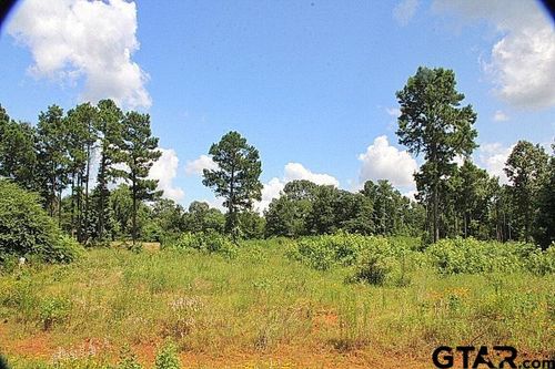 920 Stone Chimney Rd, Bullard, TX, 75757 | Card Image