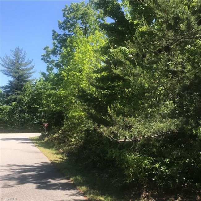 19 Rose Briar Rd, Home with 0 bedrooms, 0 bathrooms and null parking in Boomer NC | Image 28