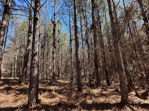 3 County Road 5112, Ethel, MS, 39067 | Card Image