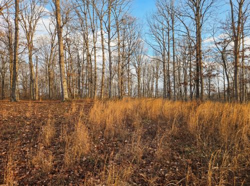 0 Havenwood Rd, MC EWEN, TN, 37101 | Card Image