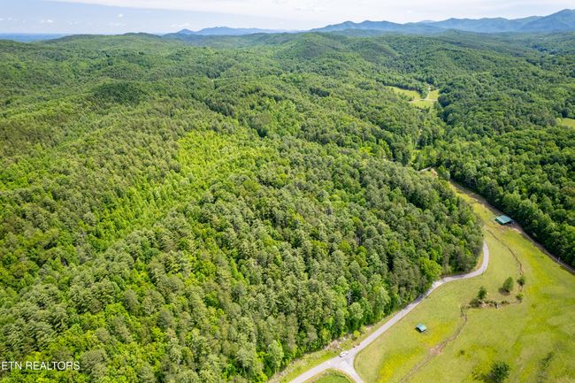 000 Cane Creek Mountain Rd, Home with 0 bedrooms, 0 bathrooms and null parking in Tellico Plains TN | Image 8