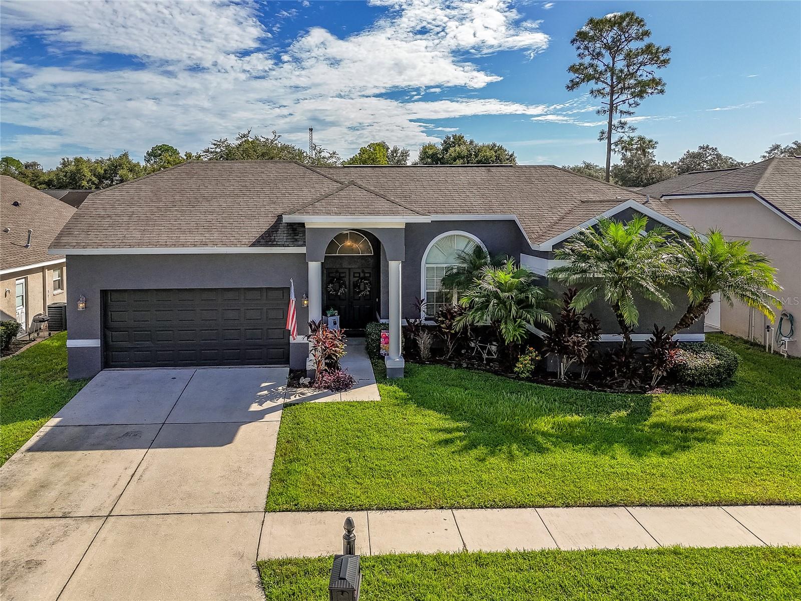Foxtail Ct, Wesley Chapel, FL 33543