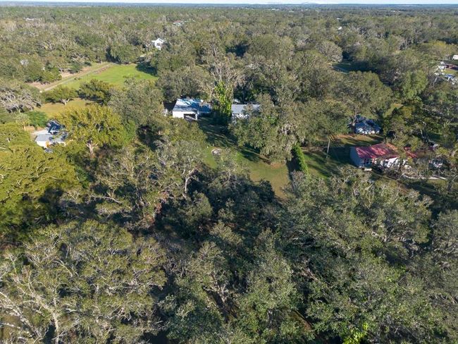 11008 Browning Rd, House other with 4 bedrooms, 4 bathrooms and null parking in LITHIA FL | Image 79
