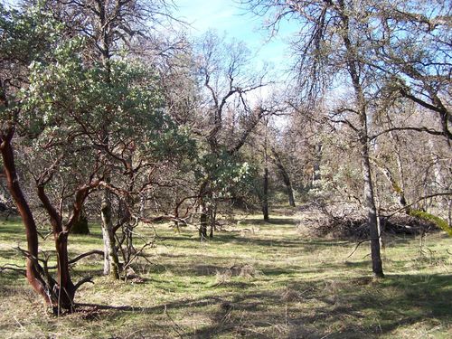 36 Jean Rd W, Oakhurst, CA, 93644 | Card Image