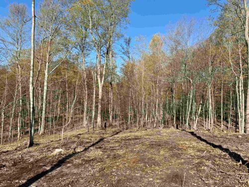 00 W Ravens Trail, Empire Township, MI, 49630 | Card Image