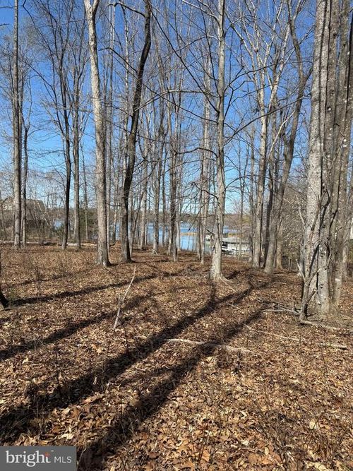 Lot 161 New Dawn Ct, BUMPASS, VA, 23024 | Card Image