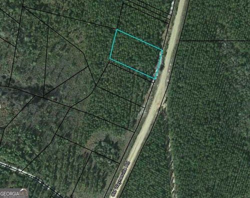 LOT 17 Waynesville Rd, Waynesville, GA, 31566 | Card Image