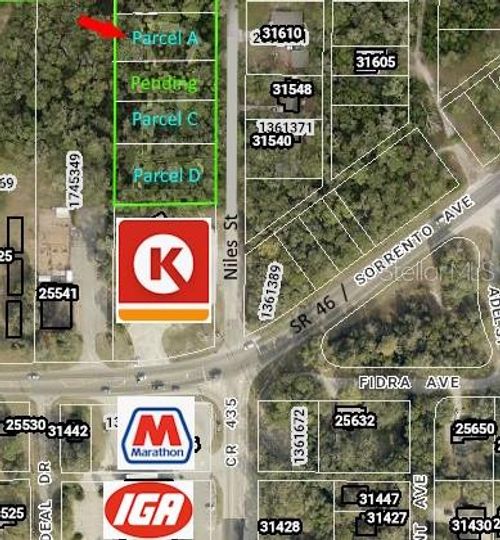 31595 Niles St, Mount Plymouth, FL, 32776-8906 | Card Image