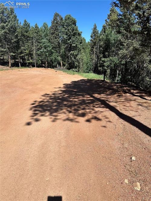 67 Gerka Ln, Florissant, CO, 80816-8001 | Card Image