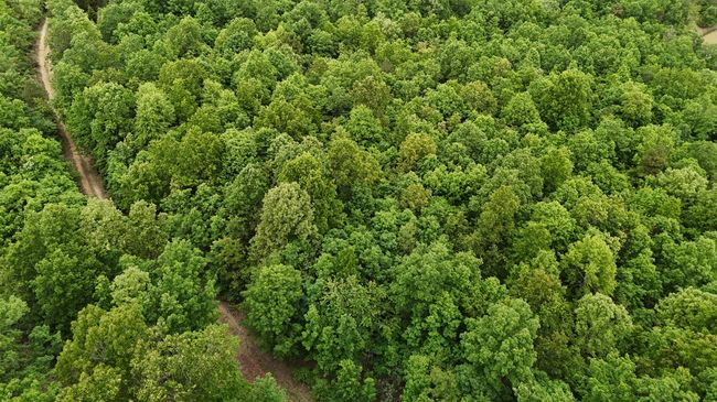 DJI_20250515142437_0132_D | Image 4
