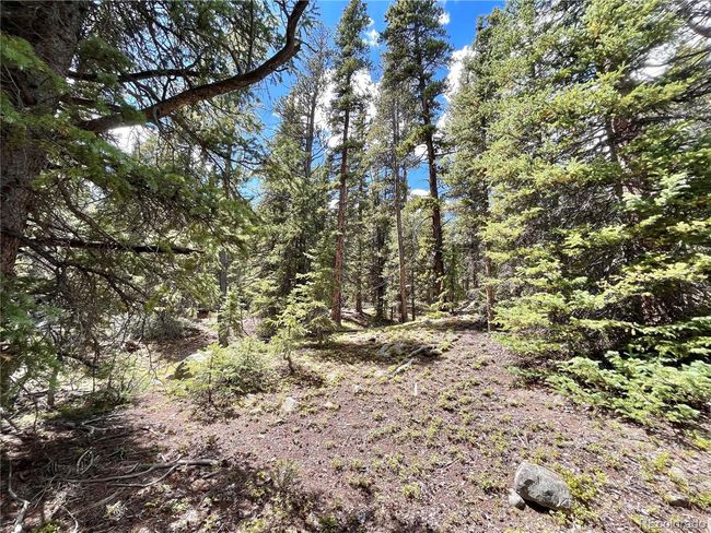 676 Dry Gulch Rd, Home with 0 bedrooms, 0 bathrooms and null parking in Fairplay CO | Image 21