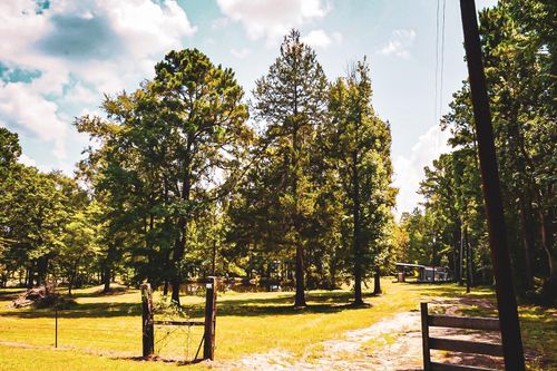 3540 Fm 352, Corrigan, TX, 75939-6828 | Card Image