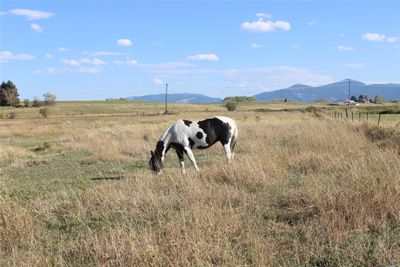 1862 & 1864 Durston Road, Home with 0 bedrooms, 0 bathrooms and null parking in Bozeman MT | Image 2