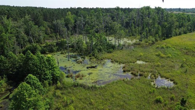 Bird's eye view of a forest | Image 15